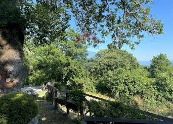 Giardino - Rustico Campo
 
snc, Castel San Vincenzo - foto 8