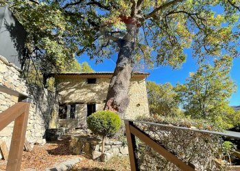 Giardino - Rustico Campo
 
snc, Castel San Vincenzo - foto 56