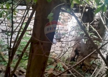 Dettagli - Rustico Via Tricaglia, Barrea - foto 22