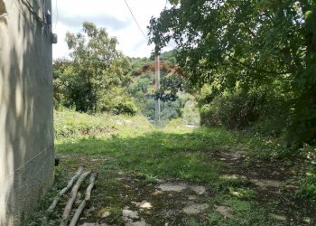 Giardino - Rustico Località Bella Veduta
 
1, Barrea - foto 9