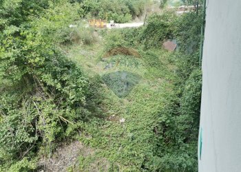 Giardino - Rustico Località Bella Veduta
 
1, Barrea - foto 11