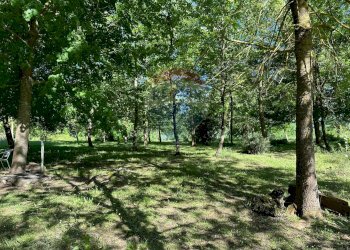 Giardino - Rustic Località Sorgenti del Volturno
 
snc, Rocchetta a Volturno - photo 13