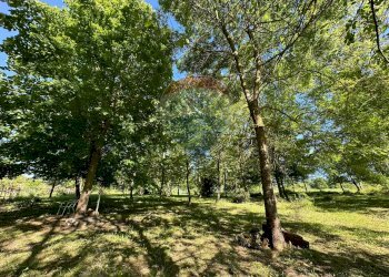 Giardino - Rustic Località Sorgenti del Volturno
 
snc, Rocchetta a Volturno - photo 14