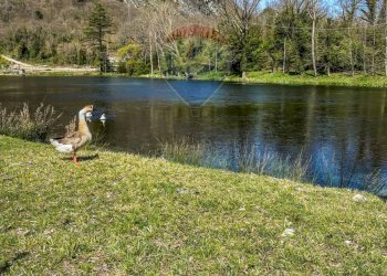 Vista dell\'acqua - Rustic Località Sorgenti del Volturno
 
snc, Rocchetta a Volturno - photo 36