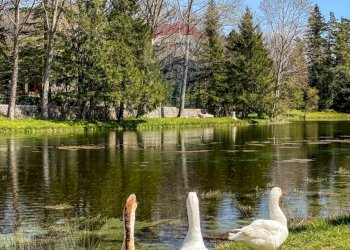 Vista dell\'acqua - Rustic Località Sorgenti del Volturno
 
snc, Rocchetta a Volturno - photo 37