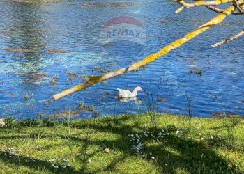 Vista dell\'acqua - Rustic Località Sorgenti del Volturno
 
snc, Rocchetta a Volturno - photo 38