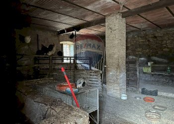 Non correlato - Rustic Località Sorgenti del Volturno
 
snc, Rocchetta a Volturno - photo 47