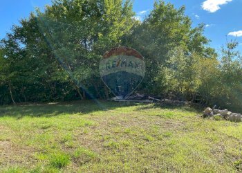 Giardino - Villa Via Cannavinella
 
snc, Rocchetta a Volturno - photo 86