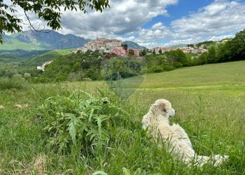 Vista delle montagne - Casa semi indipendente Località Colle, Colli a Volturno - foto 4