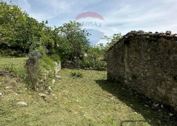 Giardino - Independent house Via Vicolo Cappella
 
snc, Rocchetta a Volturno - photo 41