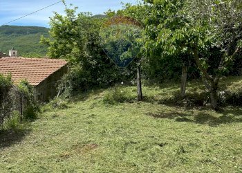 Giardino - Independent house Via Vicolo Cappella
 
snc, Rocchetta a Volturno - photo 47