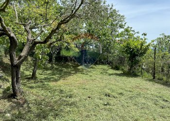 Giardino - Independent house Via Vicolo Cappella
 
snc, Rocchetta a Volturno - photo 57