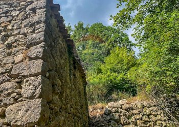 Giardino - Rustic Contrada Casella, Rocchetta a Volturno - photo 7