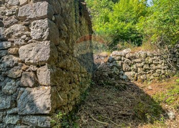 Giardino - Rustic Contrada Casella, Rocchetta a Volturno - photo 11