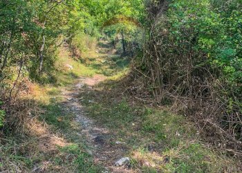 Giardino - Rustic Contrada Casella, Rocchetta a Volturno - photo 13