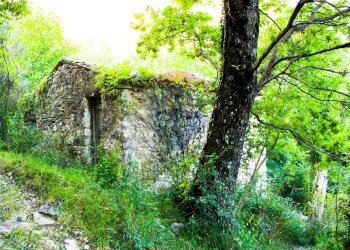 Giardino - Rustic Contrada Casella, Rocchetta a Volturno - photo 16