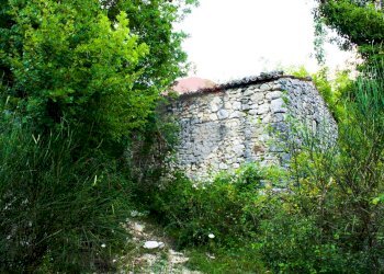 Giardino - Rustic Contrada Casella, Rocchetta a Volturno - photo 17