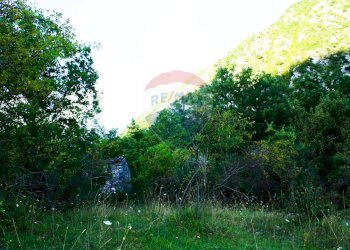 Non correlato - Rustic Contrada Casella, Rocchetta a Volturno - photo 18