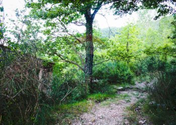 Giardino - Rustic Contrada Casella, Rocchetta a Volturno - photo 19