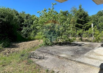 Giardino - Independent house Eduardo De Filippo
 
snc, Rocchetta a Volturno - photo 22