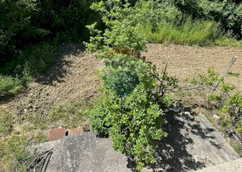 Giardino - Independent house Eduardo De Filippo
 
snc, Rocchetta a Volturno - photo 25