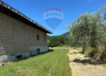 Giardino - Casa indipendente Via Botticelli
 
snc, Montaquila - foto 8