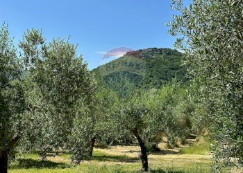 Vista delle montagne - Casa indipendente Via Botticelli
 
snc, Montaquila - foto 10