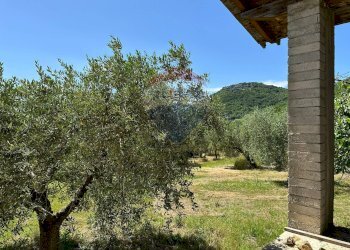 Giardino - Casa indipendente Via Botticelli
 
snc, Montaquila - foto 11