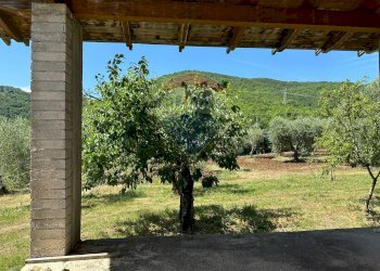 Giardino - Casa indipendente Via Botticelli
 
snc, Montaquila - foto 12