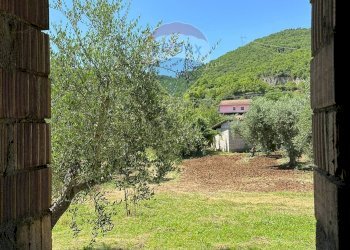 Giardino - Casa indipendente Via Botticelli
 
snc, Montaquila - foto 47