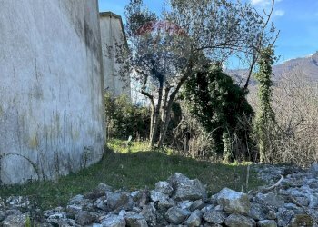 Giardino - Independent house Contrada Fontecostanza
 
42, Scapoli - photo 22