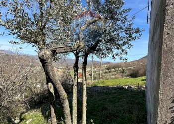 Giardino - Independent house Contrada Fontecostanza
 
42, Scapoli - photo 30