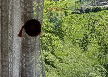 Dettagli - Casa semi indipendente Via Degli Abruzzi
 
12, Roccasicura - foto 53