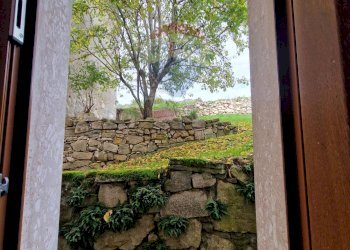 Giardino - Casa semi indipendente Ateleta - foto 10