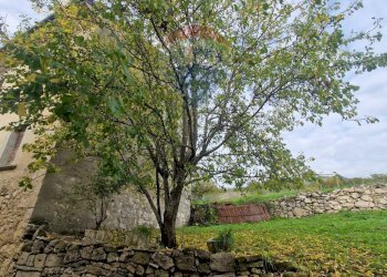 Giardino - Casa semi indipendente Ateleta - foto 33