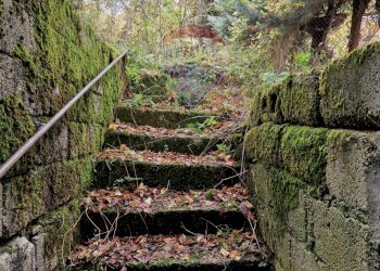 Scale - Rustic Ateleta - photo 4