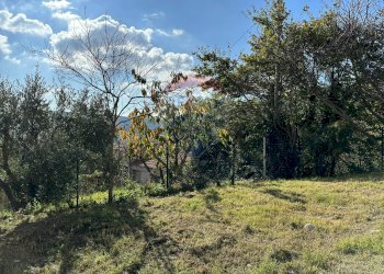 Giardino - Independent house Via Cappella
 
snc, Rocchetta a Volturno - photo 11