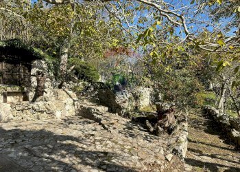 Giardino - Independent house Via Cappella
 
snc, Rocchetta a Volturno - photo 55