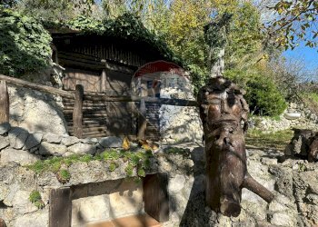 Giardino - Independent house Via Cappella
 
snc, Rocchetta a Volturno - photo 64