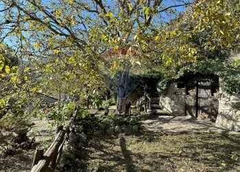 Giardino - Independent house Via Cappella
 
snc, Rocchetta a Volturno - photo 110