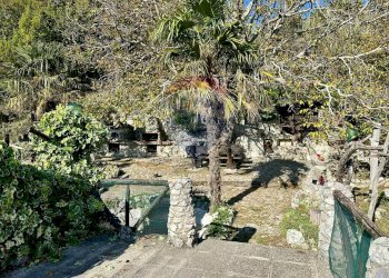 Giardino - Independent house Via Cappella
 
snc, Rocchetta a Volturno - photo 123