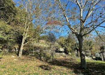 Giardino - Independent house Via Cappella
 
snc, Rocchetta a Volturno - photo 132