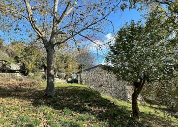 Giardino - Independent house Via Cappella
 
snc, Rocchetta a Volturno - photo 133