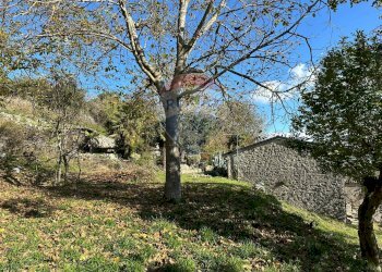 Giardino - Independent house Via Cappella
 
snc, Rocchetta a Volturno - photo 134