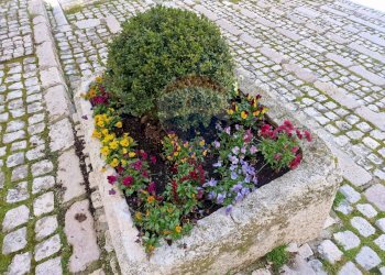 Giardino - Bilocale Via Castello
 
21, Civitella Alfedena - foto 21