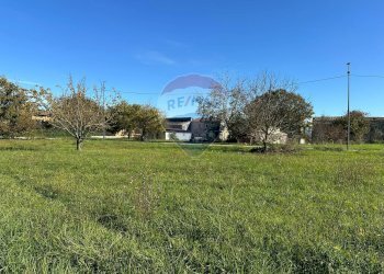 Giardino - Terreno edificabile Via Edoardo De Filippo
 
7, Rocchetta a Volturno - foto 16