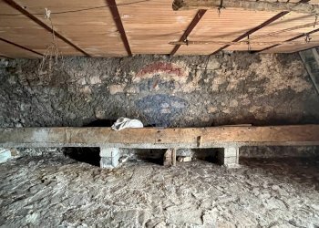 Dettagli - Rustic Via Pitassi
 
snc, Ateleta - photo 15