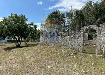 Giardino - Rustic Via Delle grotte, Rocchetta a Volturno - photo 11
