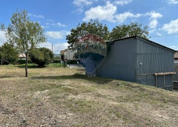 Giardino - Rustic Via Delle grotte, Rocchetta a Volturno - photo 13