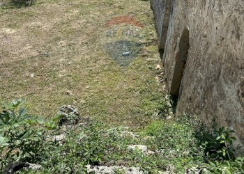 Giardino - Rustic Via Delle grotte, Rocchetta a Volturno - photo 66